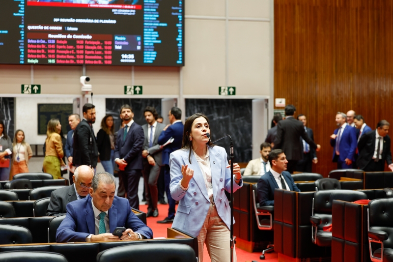 Noticia projeto-da-deputada-lohanna-que-cria-a-medalha-lo-borges-e-aprovado-pela-almg